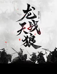 龙战天主角