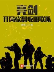 亮剑干掉坂田联队第几集