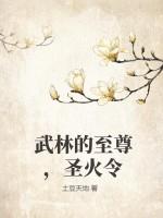 武林圣火令电视剧国语