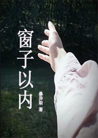 窗子以外中窗子的含义内容