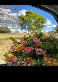一言不发近义词