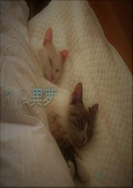 疯狂的代价