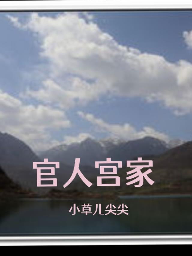 官家的人