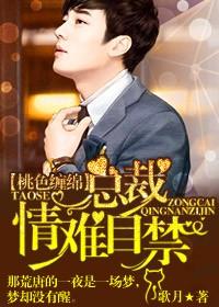 首席总裁爱你入骨TXT