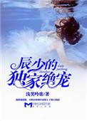 辰少宠妻入骨免费版