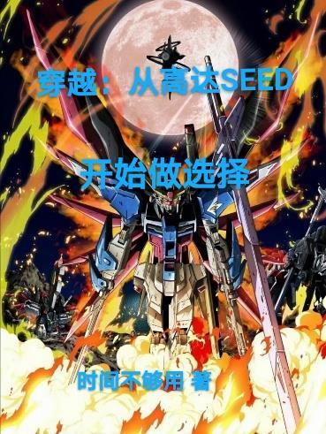 主角穿越到高达世界的