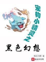 神奇宝贝之黑色幻想笔趣阁
