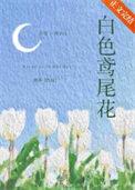 白色鸢尾花的花语和寓意是什么