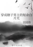 穿成瞎子男主的短命白月光结局
