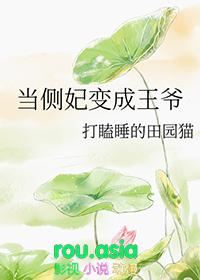 当侧妃变成王爷的