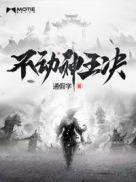 不动明王fc