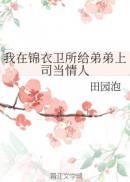 我在锦衣卫打工的日子百度百科