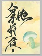 分手前夜宁青青
