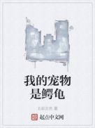 我的宠物是鳄龟电子书
