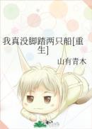 我真没脚踏两只船[重生
