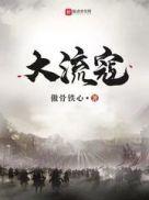 大流寇全文阅读
