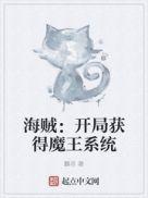 海贼王之开局我模仿