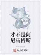 才不是阿尼马格斯笔趣阁免费阅读全文