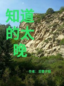 知道太晚的成语