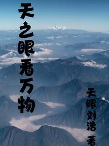 天之眼怎么样