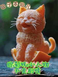 综影视小人物不走剧情gl