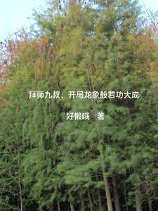 拜师九叔开局龙象般若功大成无公告