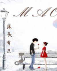 为什么隔壁的猫喜欢来我家