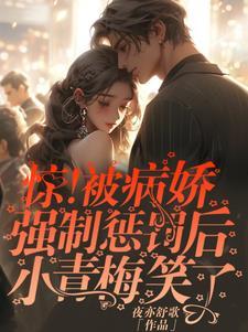 被病娇少年抢回家免费阅读
