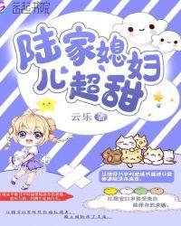 陆家媳妇儿超甜免费阅读
