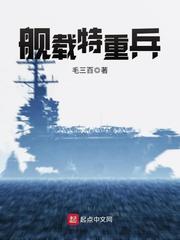 舰载特重兵TXT百度资源