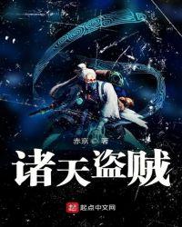 诸天盗贼系统有声