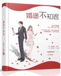 婚途不知返晋江