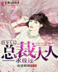 替身天后总裁大人求放过免费