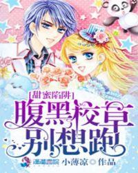 腹黑娇妻别惹火