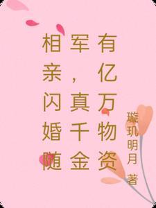 相亲就闪婚的军婚