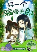 好个骗婚夫郎