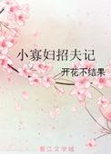 小寡妇招夫记无防盗免费阅读