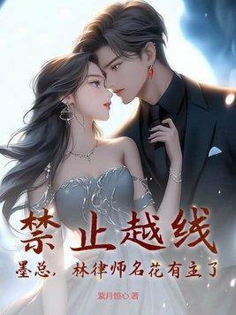 林律师名花有主了 紫月恒心