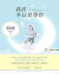 我在冬天的中央等你