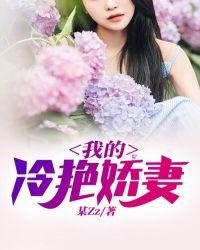 我的冷艳娇妻阅读