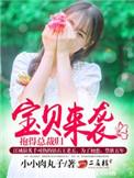 抱得总裁归 小小肉丸子