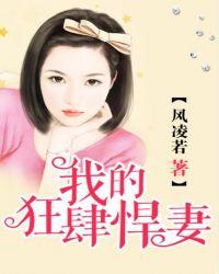我的狂婿
