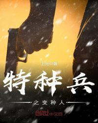 特种兵之改编版