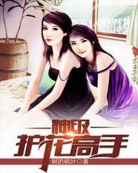 神级护花高手 月儿常圆TXT