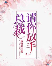 请你放手夏觅晴