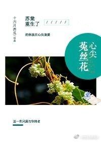 心尖菟丝花书评