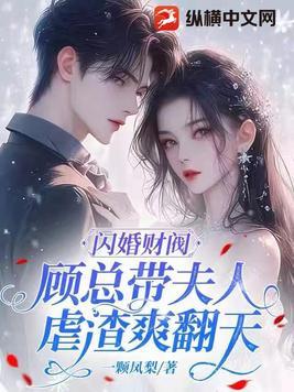 顾少的闪婚宠