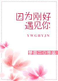 因为刚好遇见你电视剧全集
