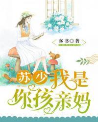 苏总我是你孩亲妈