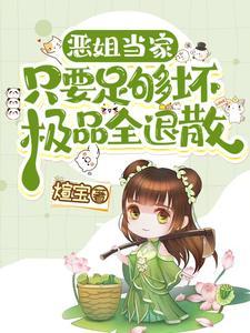 恶姐当家后极品全疯了